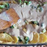 Shiitake Austernpilz Suppe